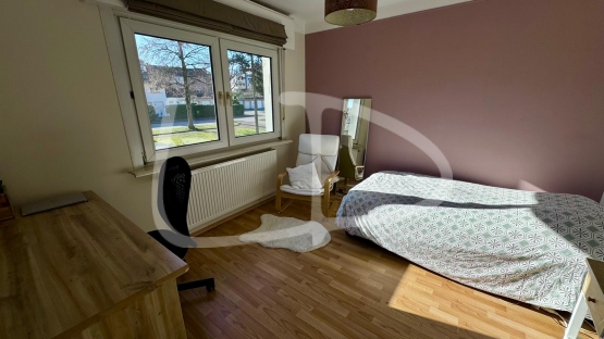 WhatsApp Image 2025-03-06 at 16.03.19 (2).jpeg